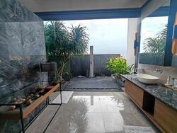 Changi Grove (D17), Detached #521559111